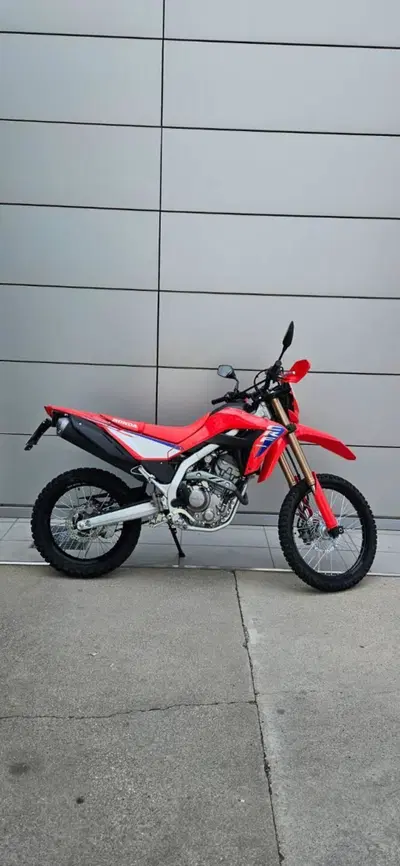 Honda CRF 300L (2025 - 26) usata