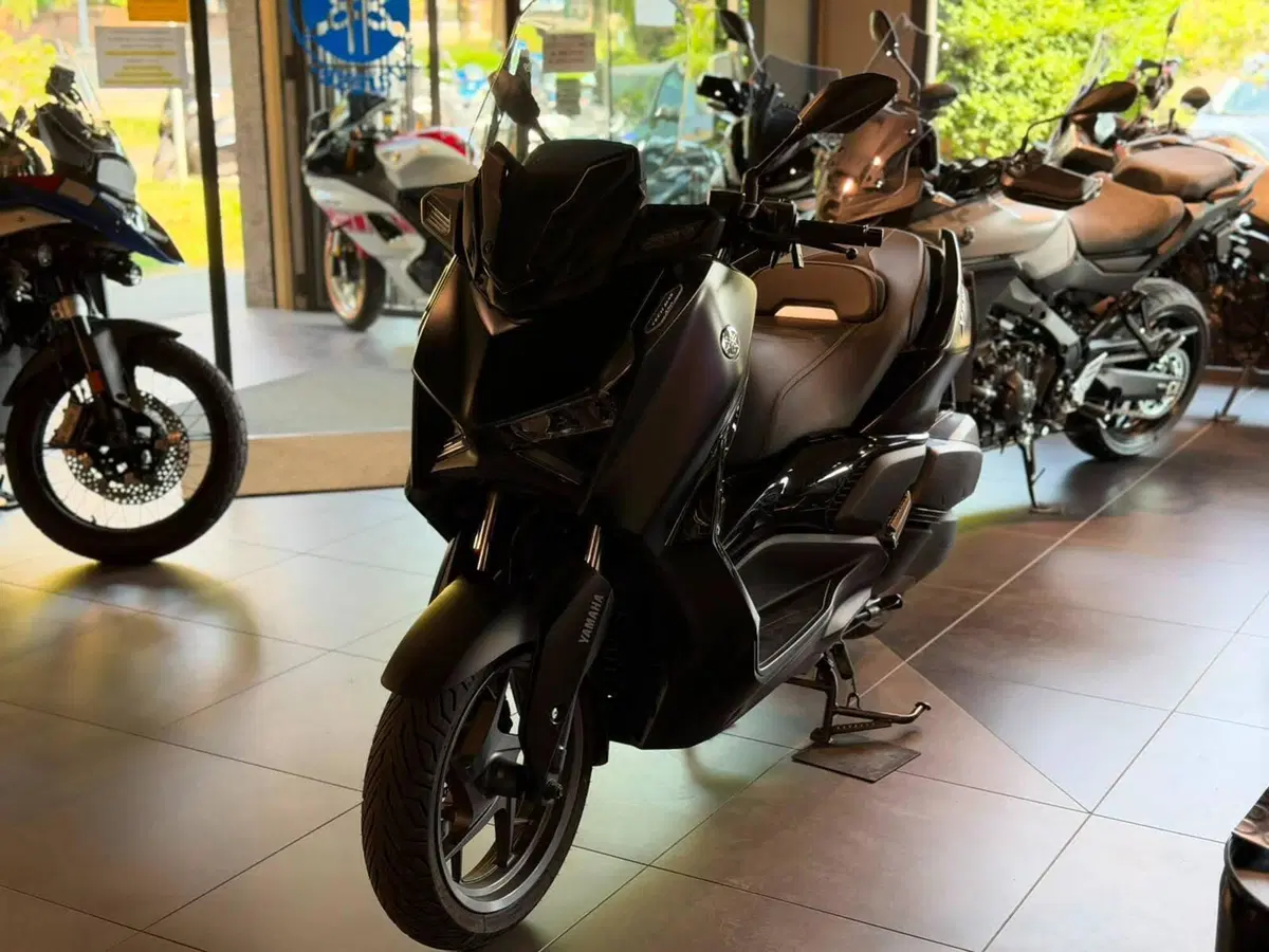Yamaha X-Max 300 Tech Max (2021 - 24) (5)