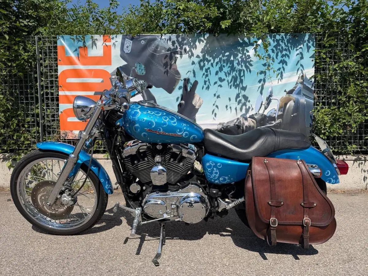 Harley-Davidson 1200 Custom (2004 - 06) - XL 1200C (3)