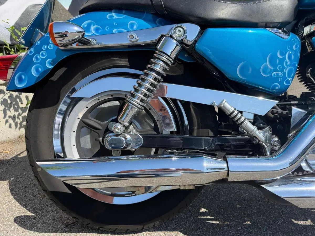 Harley-Davidson 1200 Custom (2004 - 06) - XL 1200C (4)