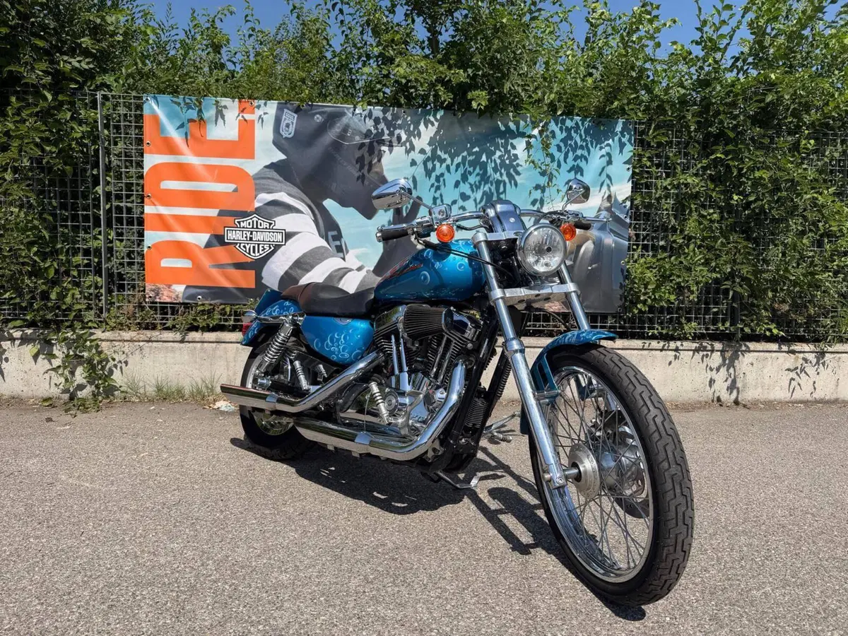 Harley-Davidson 1200 Custom (2004 - 06) - XL 1200C (5)
