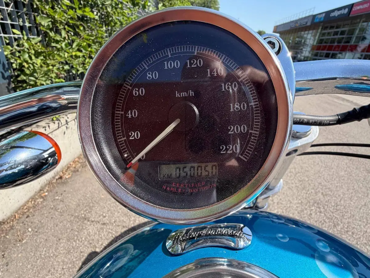 Harley-Davidson 1200 Custom (2004 - 06) - XL 1200C (6)
