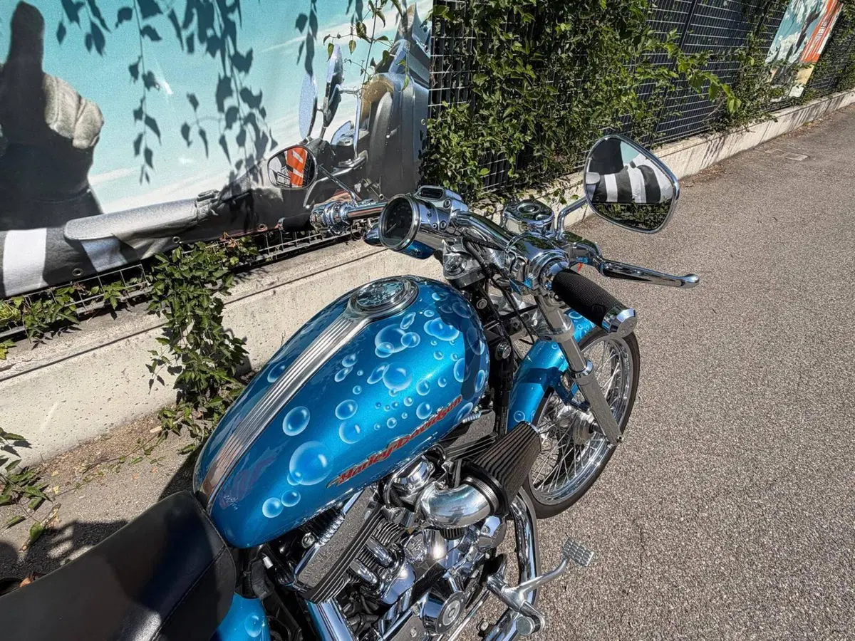 Harley-Davidson 1200 Custom (2004 - 06) - XL 1200C (7)