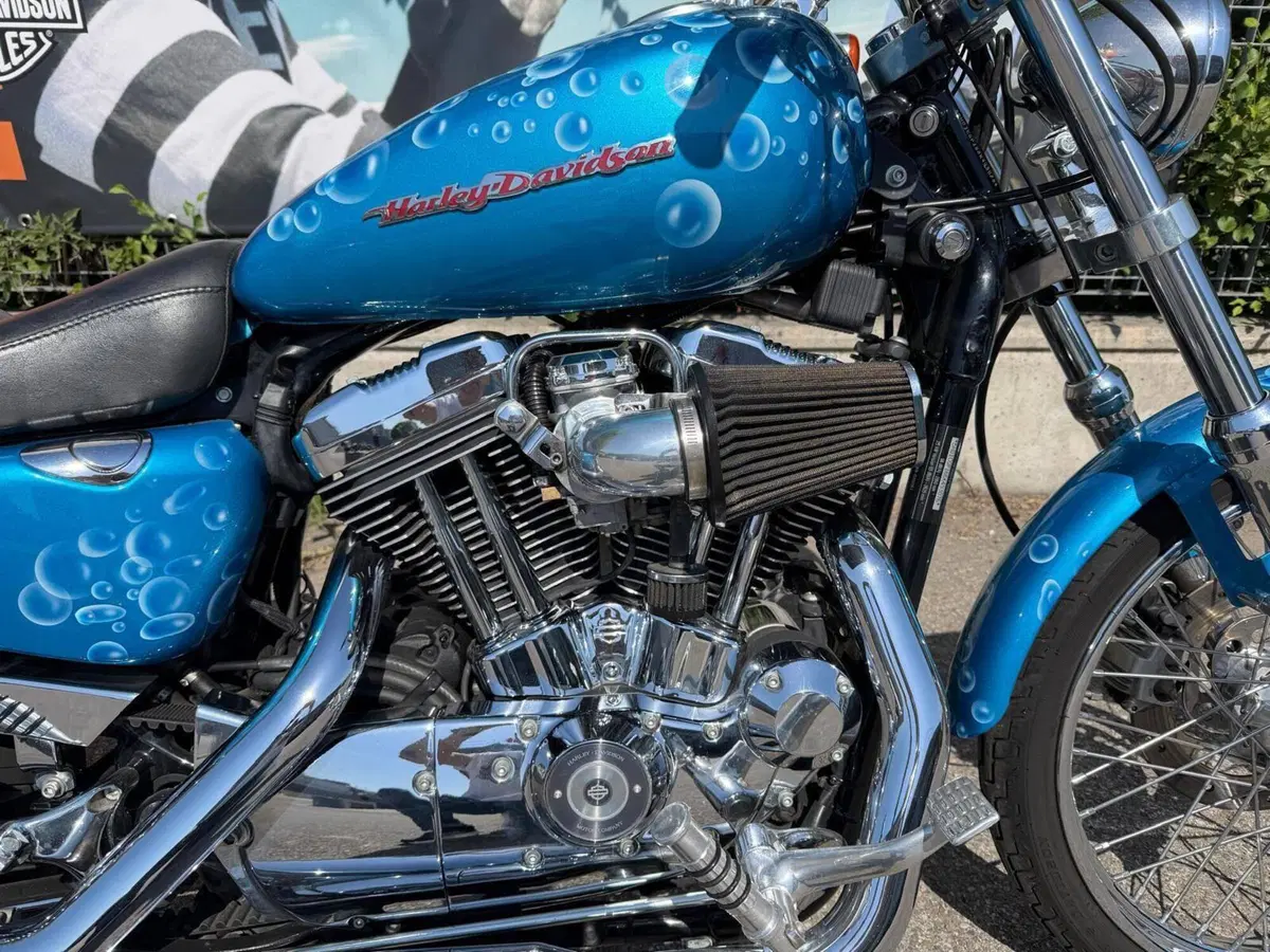 Harley-Davidson 1200 Custom (2004 - 06) - XL 1200C (9)