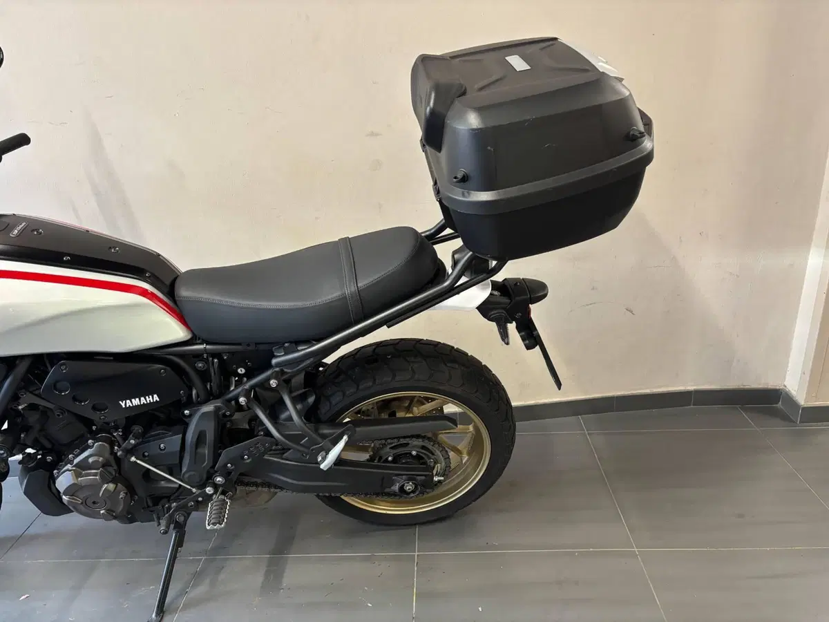 Yamaha XSR 700 XTribute (2022 - 24) (3)