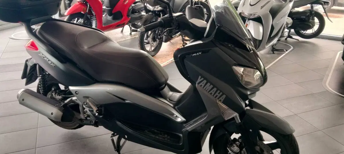 Yamaha X-Max 250 (2010 - 13) (3)