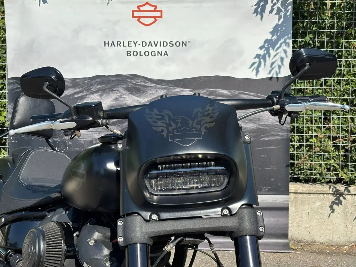 Harley-Davidson 114 Fat Bob (2018 - 20) - FXFBS (8)
