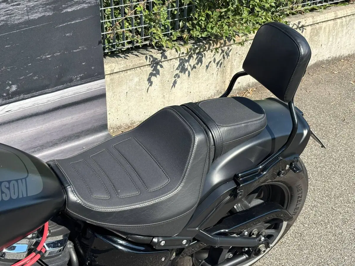 Harley-Davidson 114 Fat Bob (2018 - 20) - FXFBS (12)