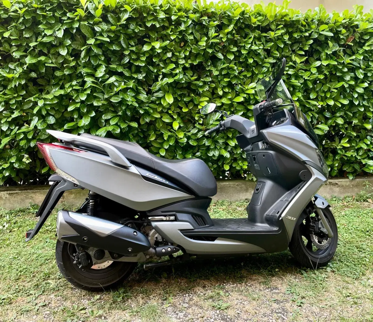 Kymco G-Dink 300i (2018 - 20)