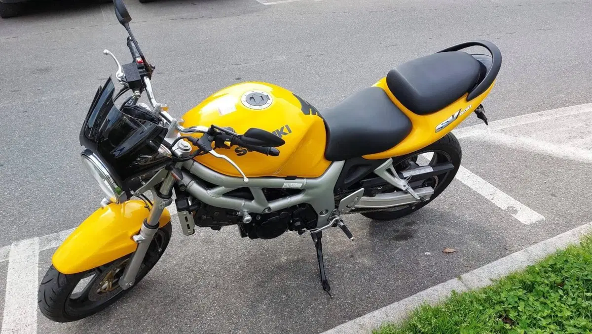 Suzuki SV 650 (1999 - 02) (6)