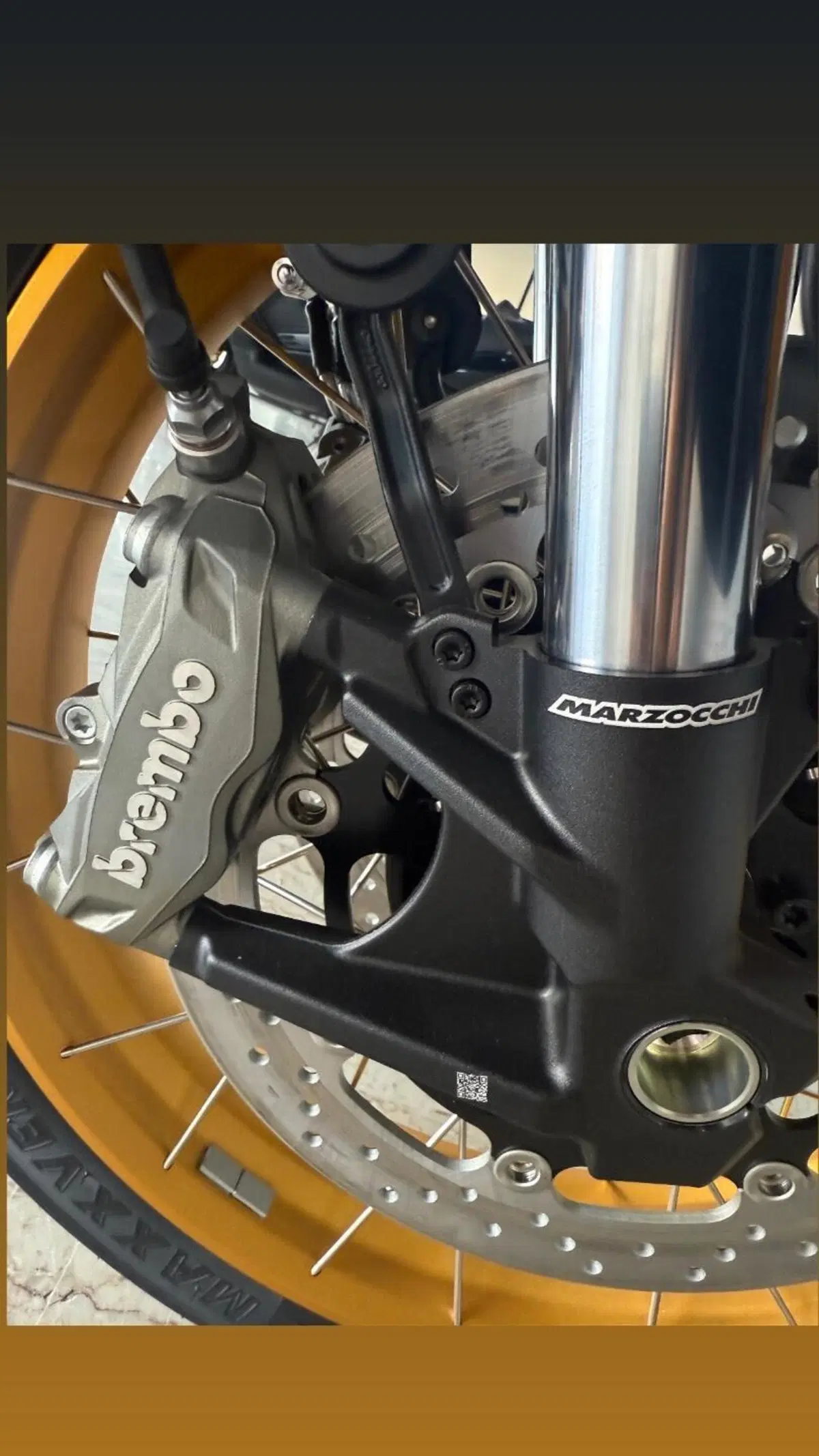 QJ Motor SRT 900 SX (2025 - 26) (7)