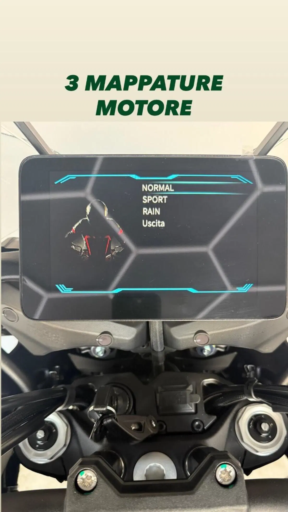 QJ Motor SRT 900 SX (2025 - 26) (9)