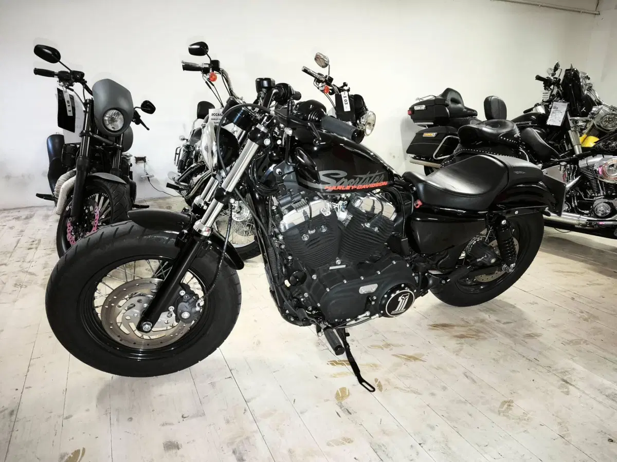 Harley-Davidson 1200 Forty-Eight (2010 - 15) (3)