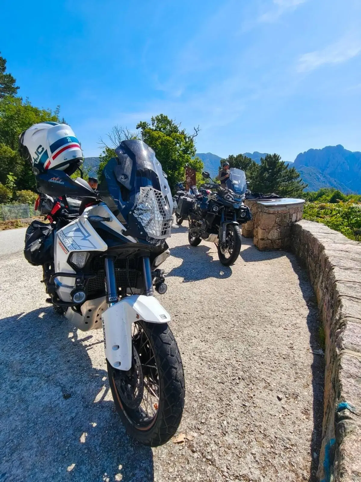 KTM 1290 Super Adventure (2015 - 16) (2)