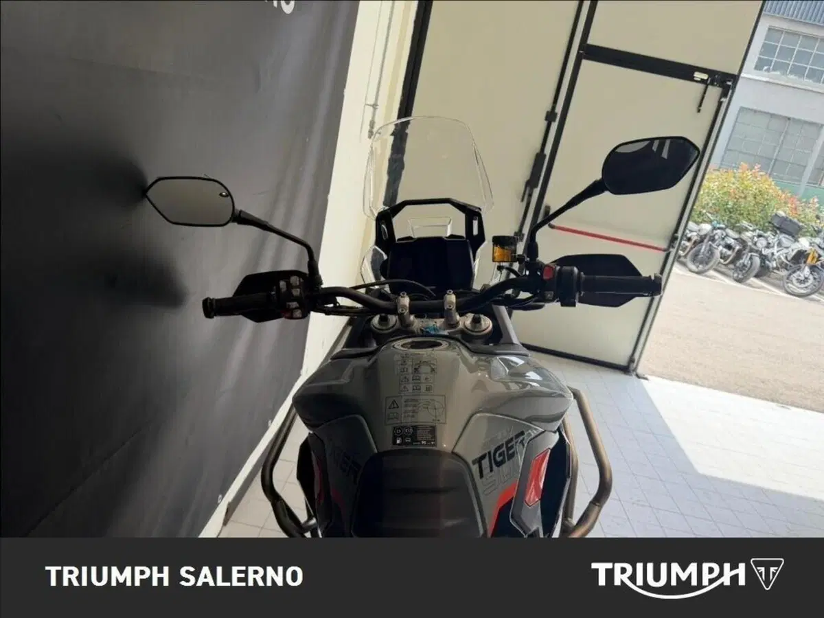 Triumph Tiger 900 Desert Special Edition (2026) (6)