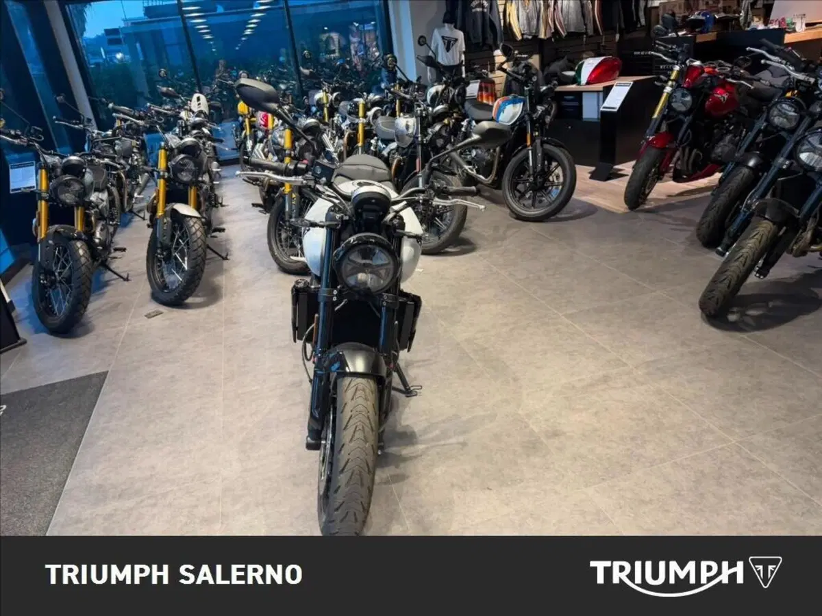 Triumph Trident 660 (2025) (3)