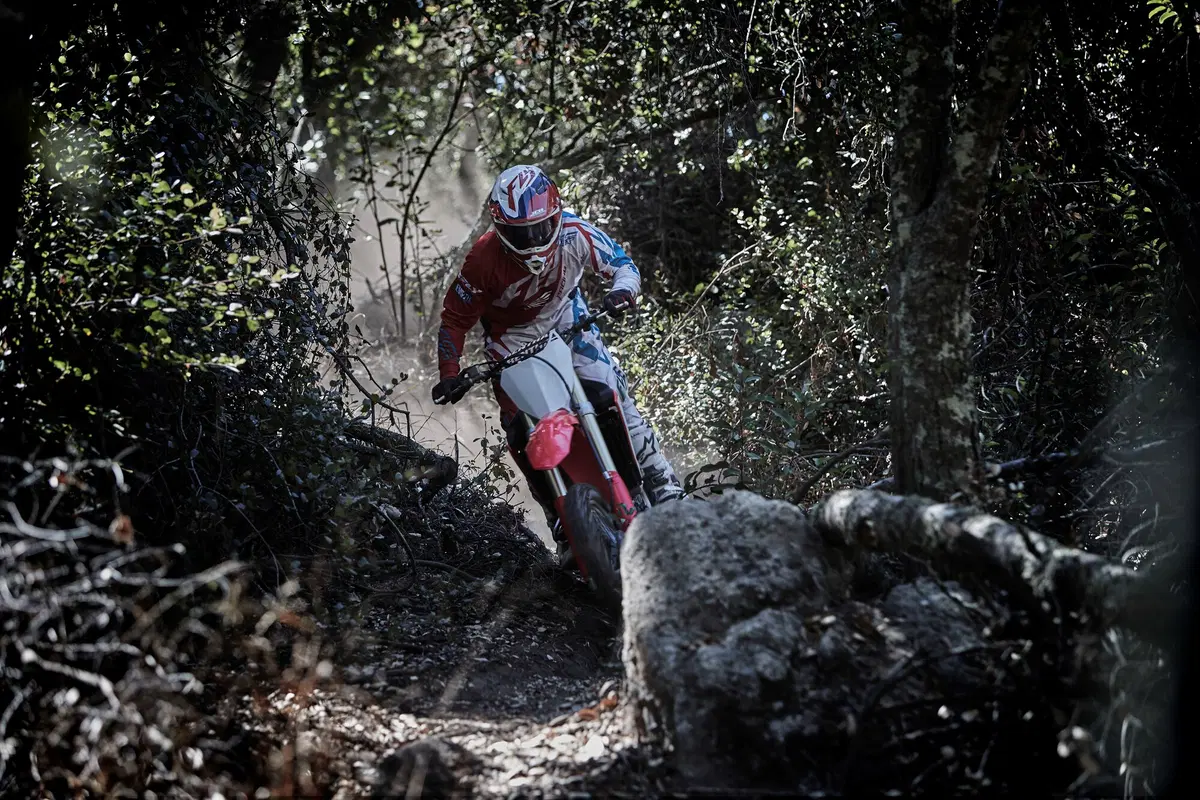 Honda CRF450RX Enduro 2017 (2)