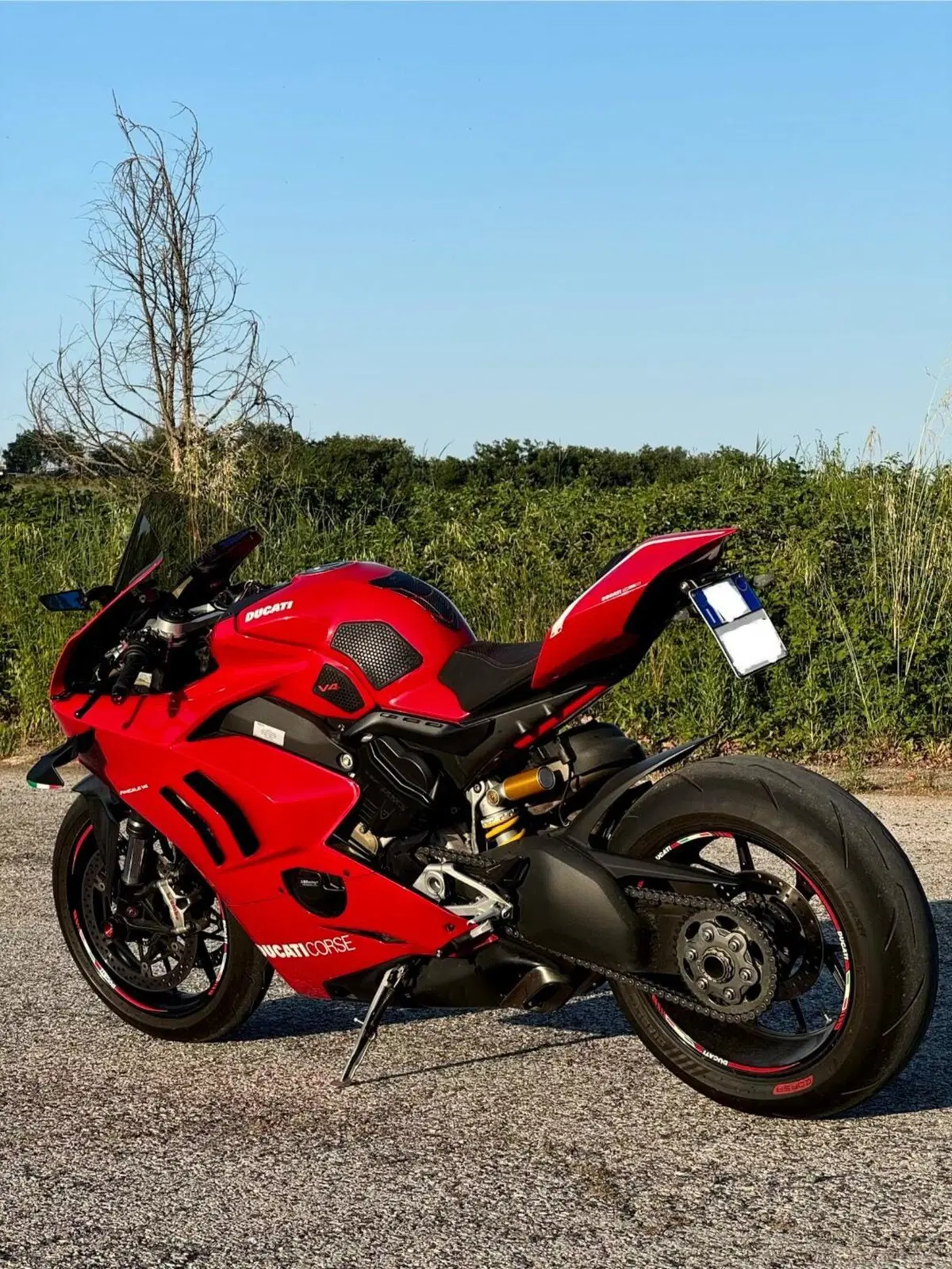 Ducati Panigale V4 1100 (2020) (3)