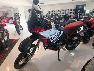 Ducati DesertX (2022 - 25) usata