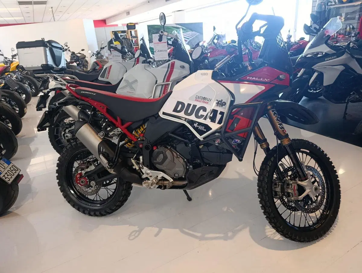 Ducati DesertX (2022 - 25) (3)