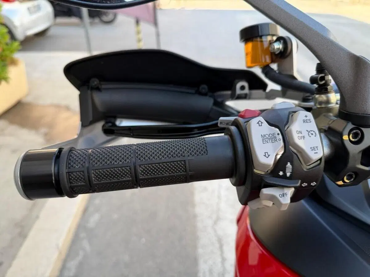 Ducati Multistrada 1260 S (2018 - 20) (9)