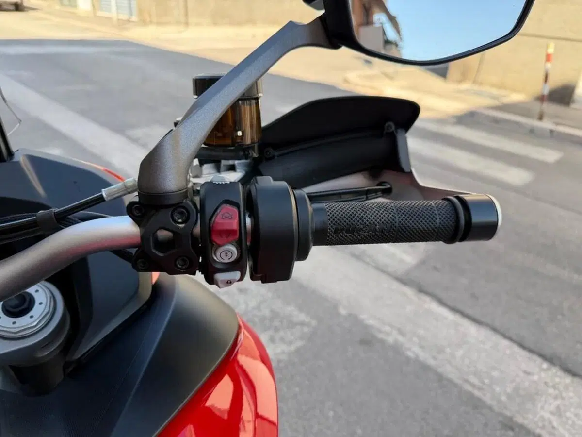 Ducati Multistrada 1260 S (2018 - 20) (11)