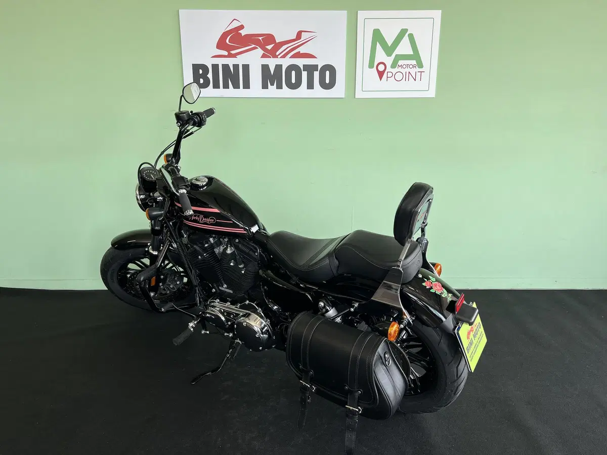 Harley-Davidson 1200 Forty-Eight (2016 - 20) (6)