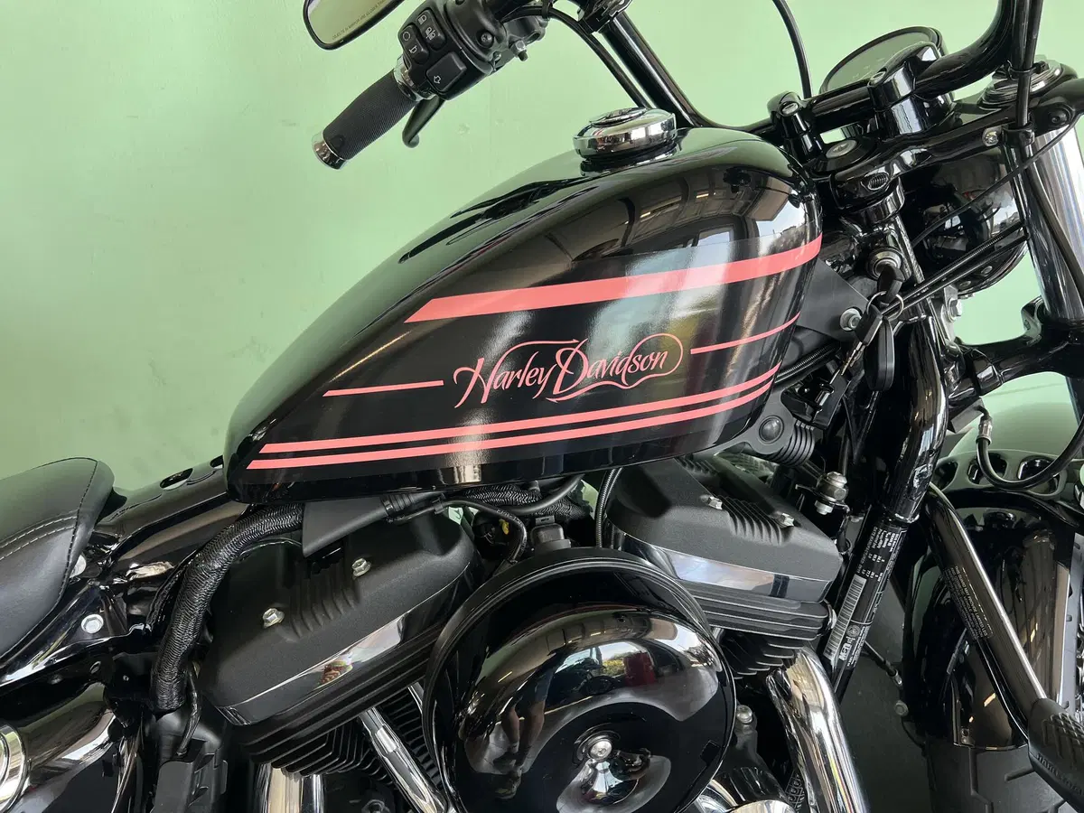 Harley-Davidson 1200 Forty-Eight (2016 - 20) (10)