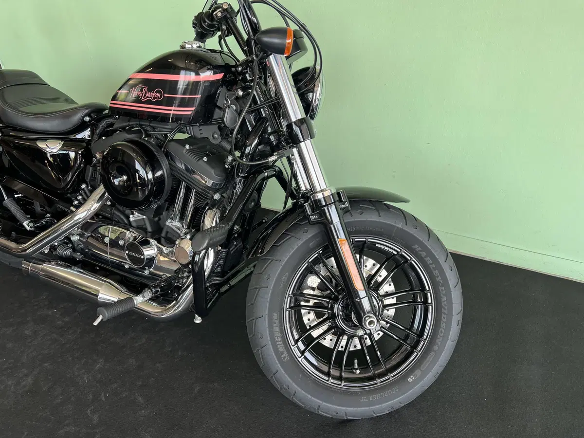 Harley-Davidson 1200 Forty-Eight (2016 - 20) (12)
