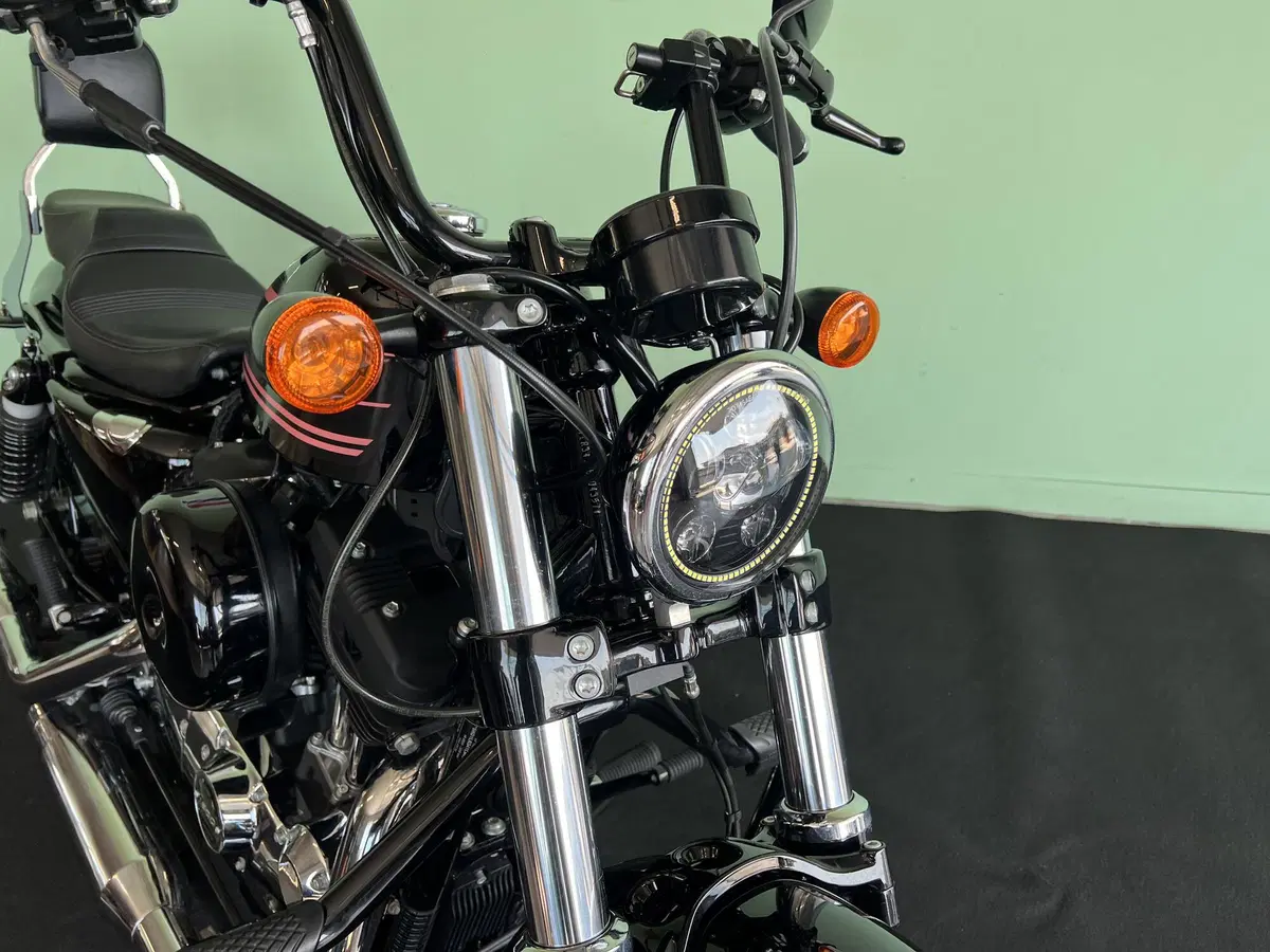 Harley-Davidson 1200 Forty-Eight (2016 - 20) (13)