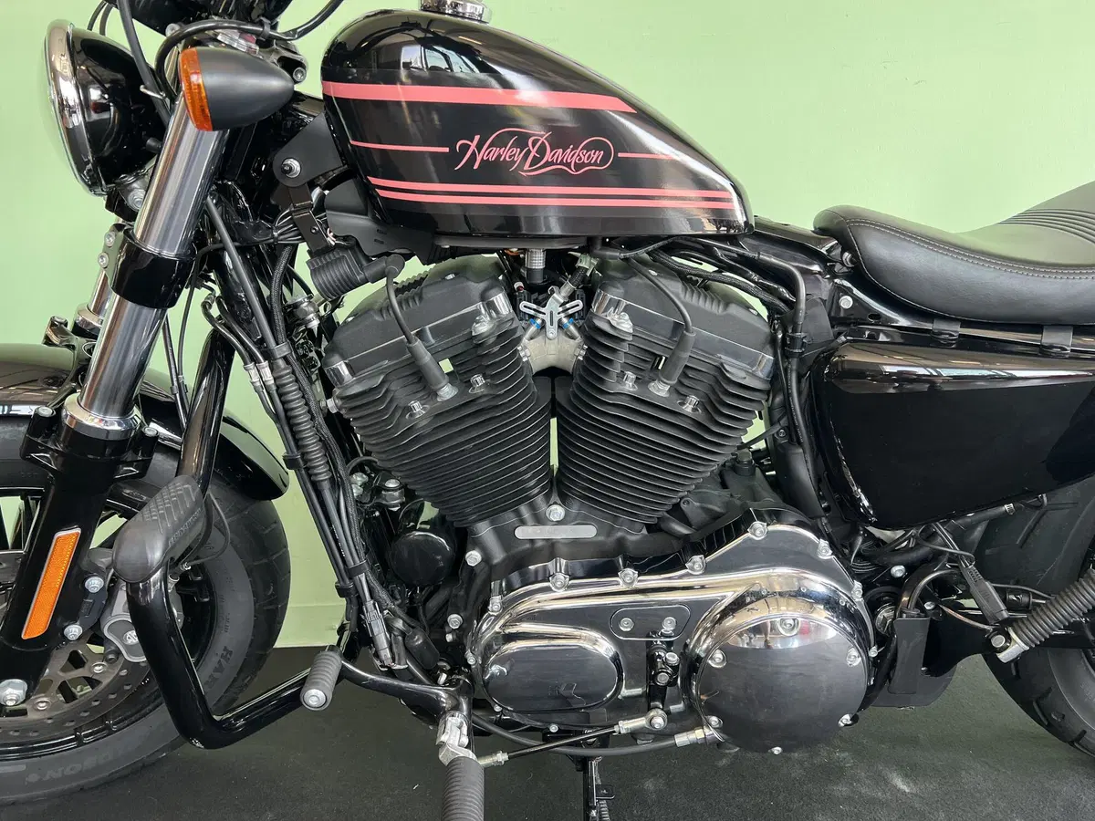 Harley-Davidson 1200 Forty-Eight (2016 - 20) (14)