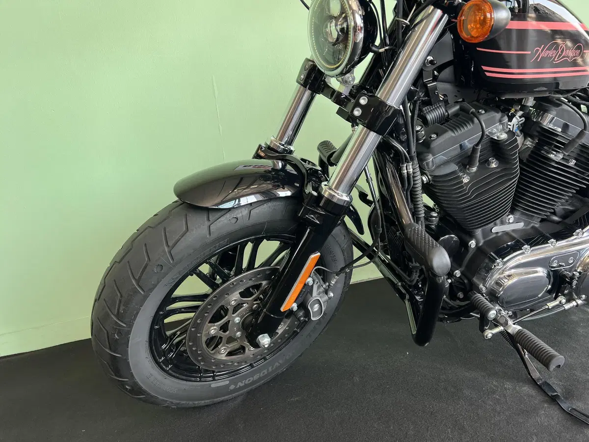Harley-Davidson 1200 Forty-Eight (2016 - 20) (15)