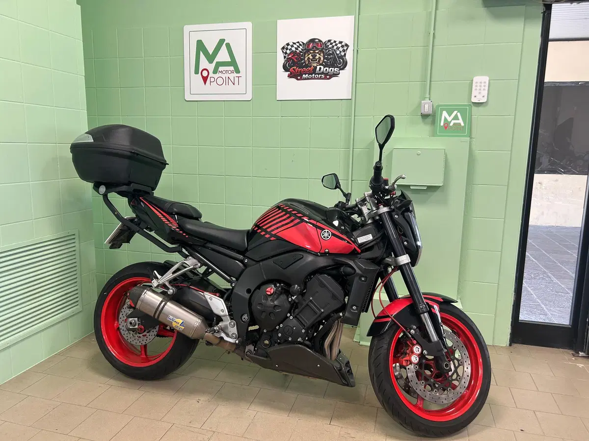 Yamaha FZ1 (2006 - 16) (8)