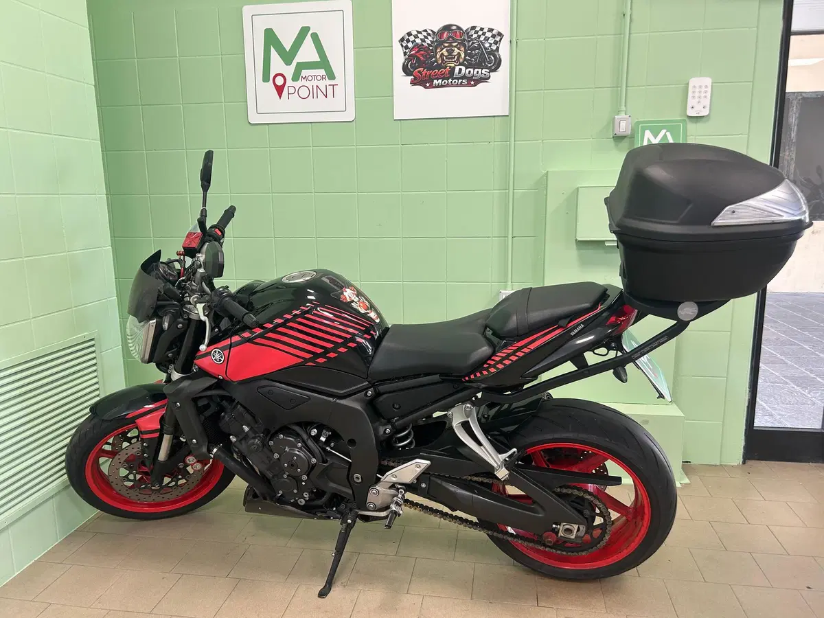 Yamaha FZ1 (2006 - 16) (9)