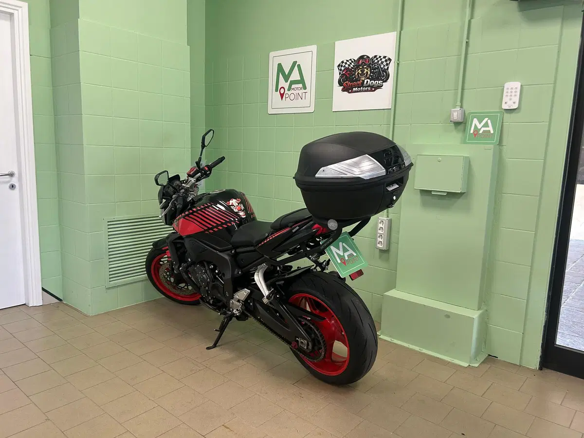Yamaha FZ1 (2006 - 16) (13)