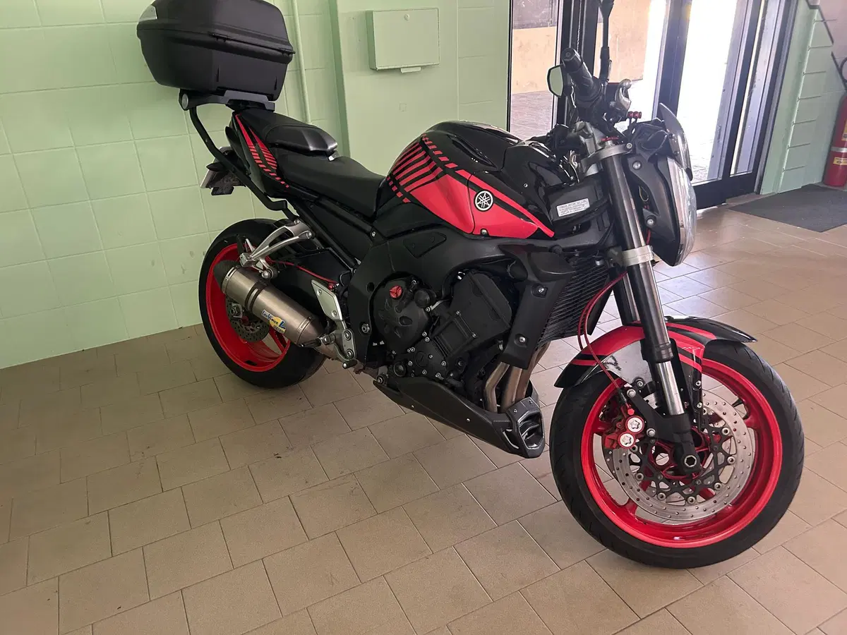 Yamaha FZ1 (2006 - 16) (19)
