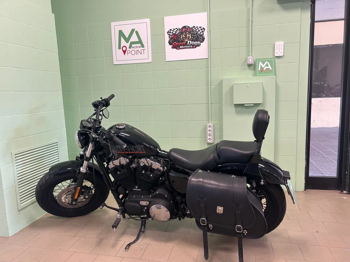 Harley-Davidson 1200 Forty-Eight (2010 - 15) (2)