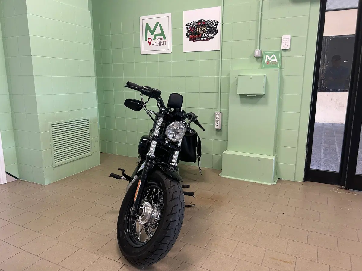 Harley-Davidson 1200 Forty-Eight (2010 - 15) (3)