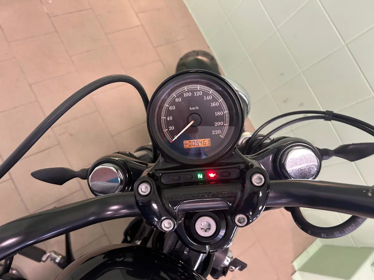 Harley-Davidson 1200 Forty-Eight (2010 - 15) (5)