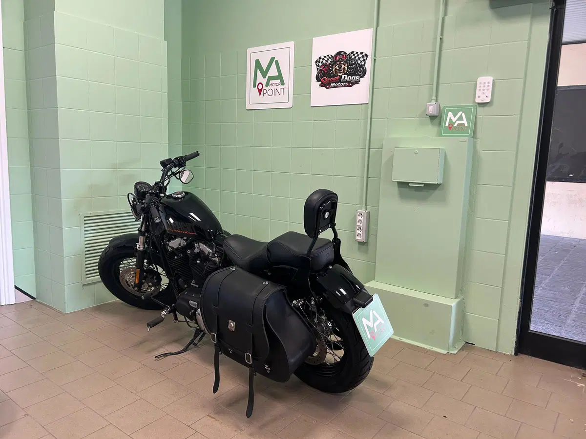 Harley-Davidson 1200 Forty-Eight (2010 - 15) (6)