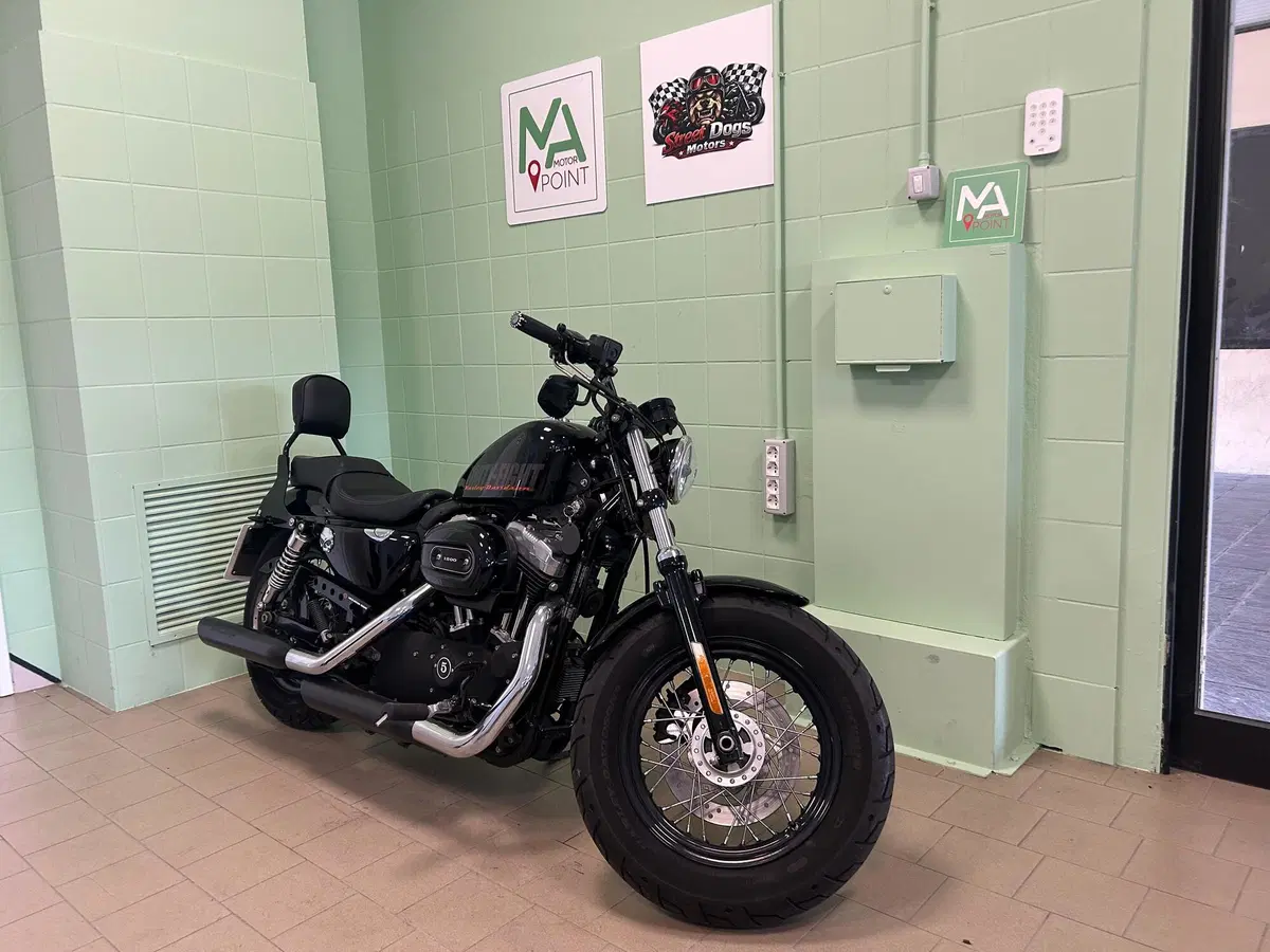 Harley-Davidson 1200 Forty-Eight (2010 - 15) (9)