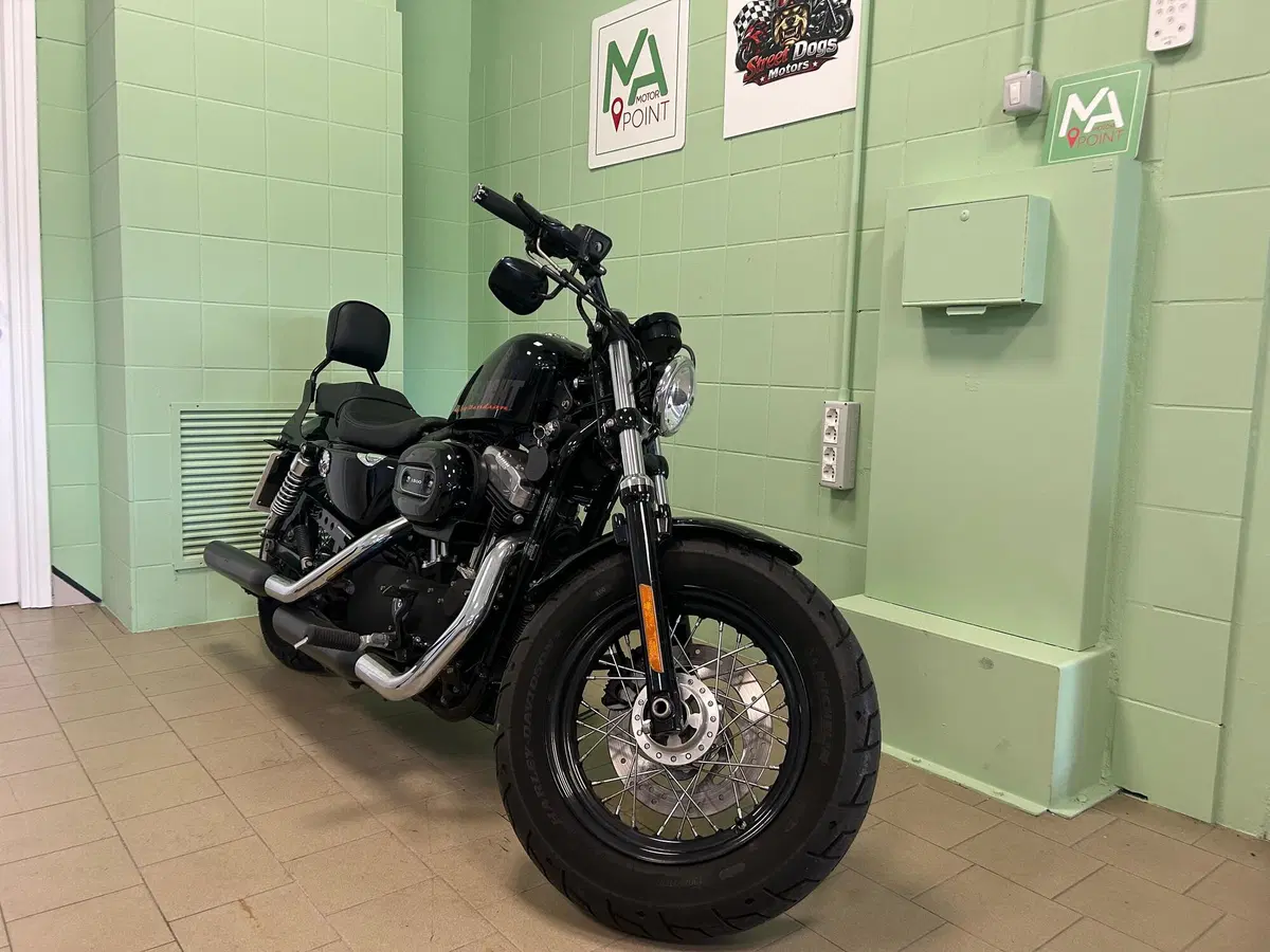 Harley-Davidson 1200 Forty-Eight (2010 - 15) (11)