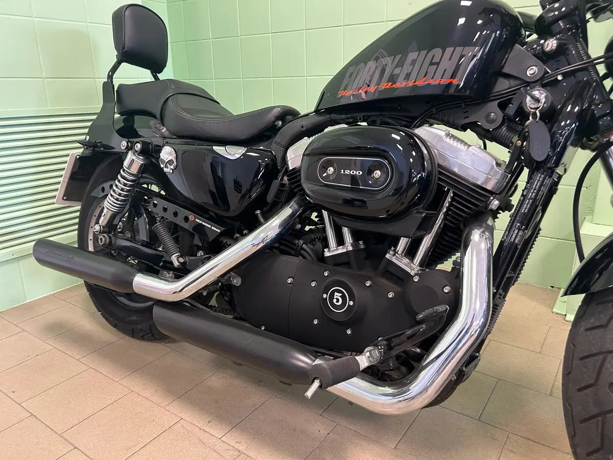 Harley-Davidson 1200 Forty-Eight (2010 - 15) (12)