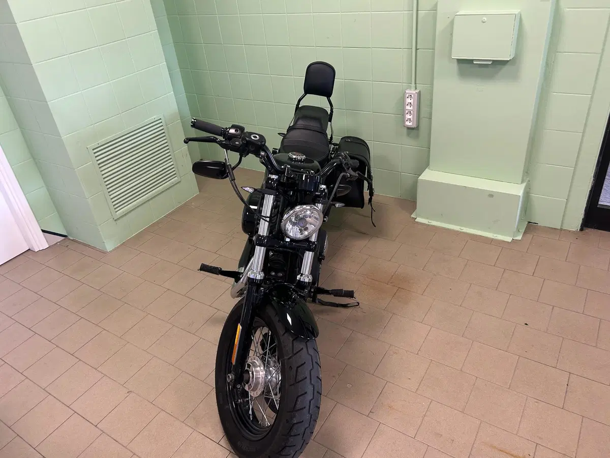 Harley-Davidson 1200 Forty-Eight (2010 - 15) (15)