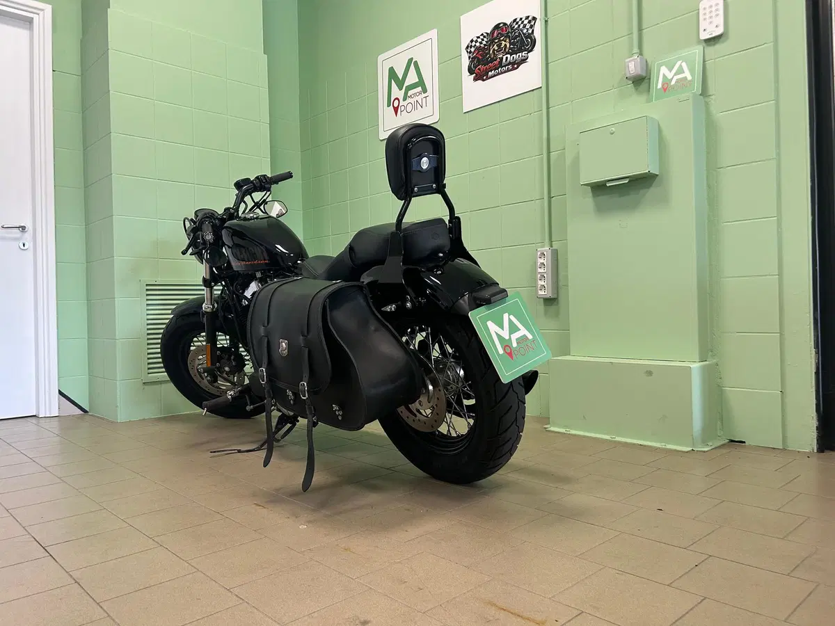 Harley-Davidson 1200 Forty-Eight (2010 - 15) (16)