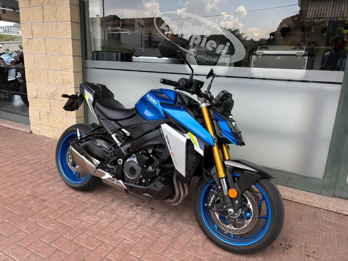 Suzuki GSX-S1000 (2021 - 25) (2)