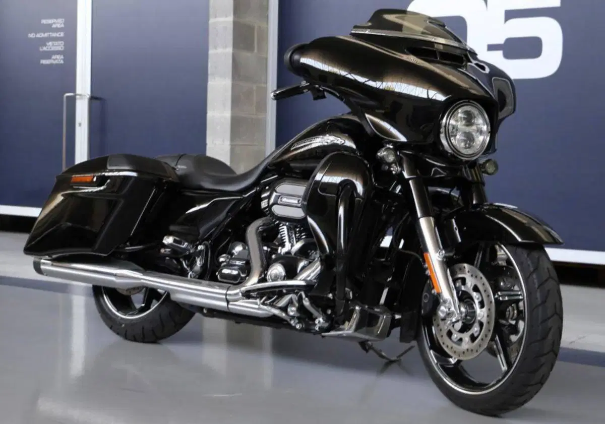 Harley-Davidson 110 Street Glide (2016) - FLHXSE (2)