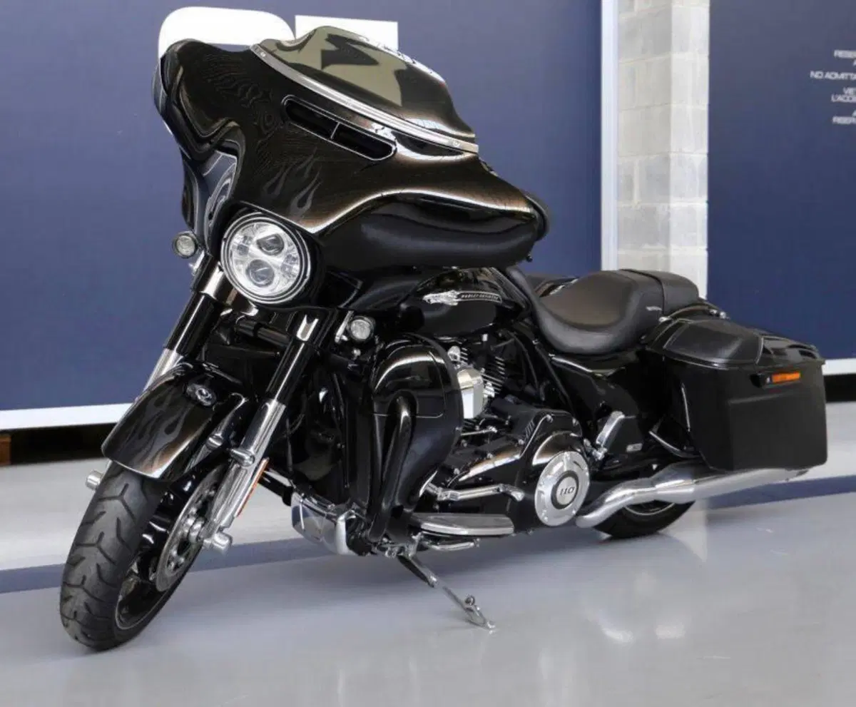 Harley-Davidson 110 Street Glide (2016) - FLHXSE (4)
