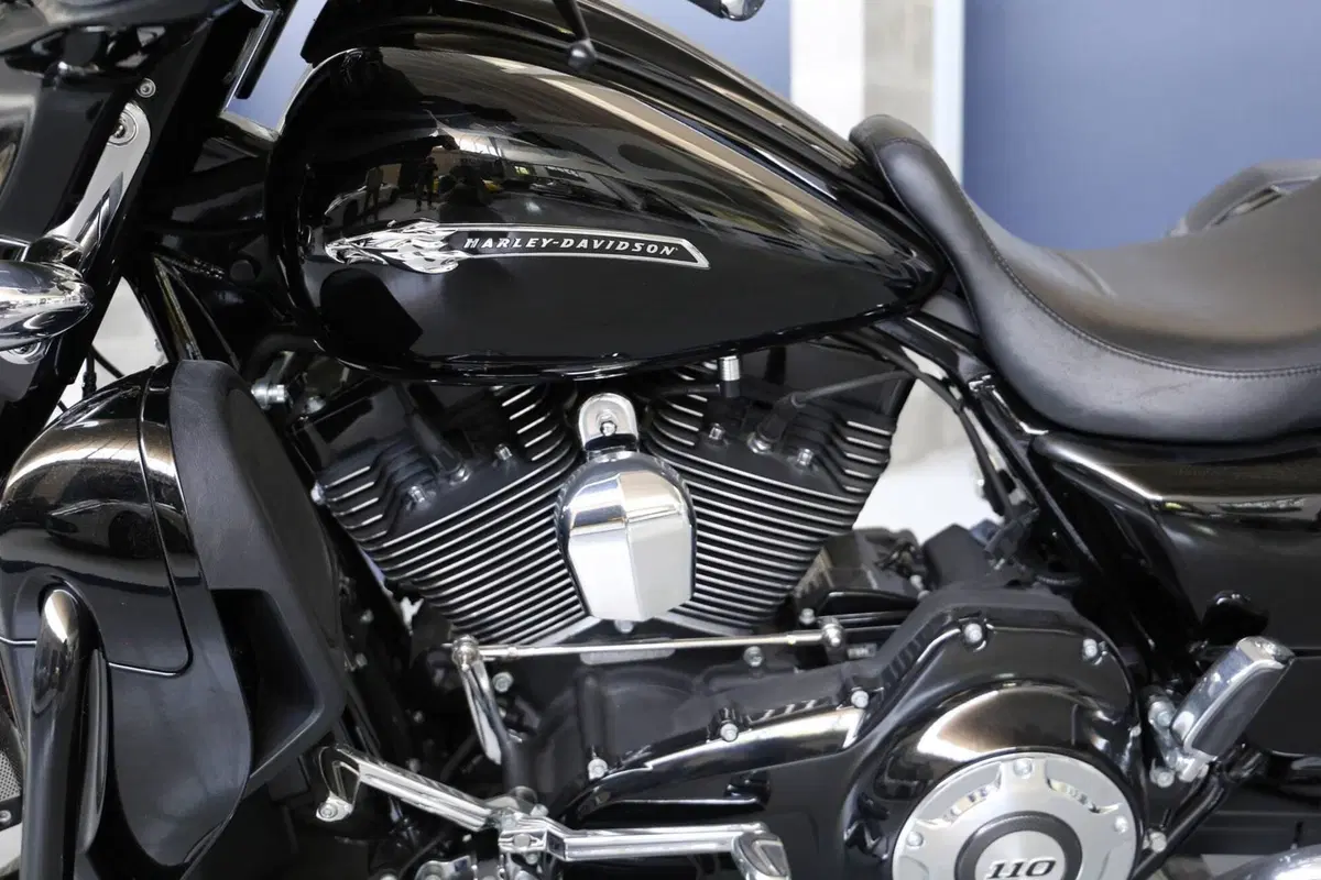 Harley-Davidson 110 Street Glide (2016) - FLHXSE (5)