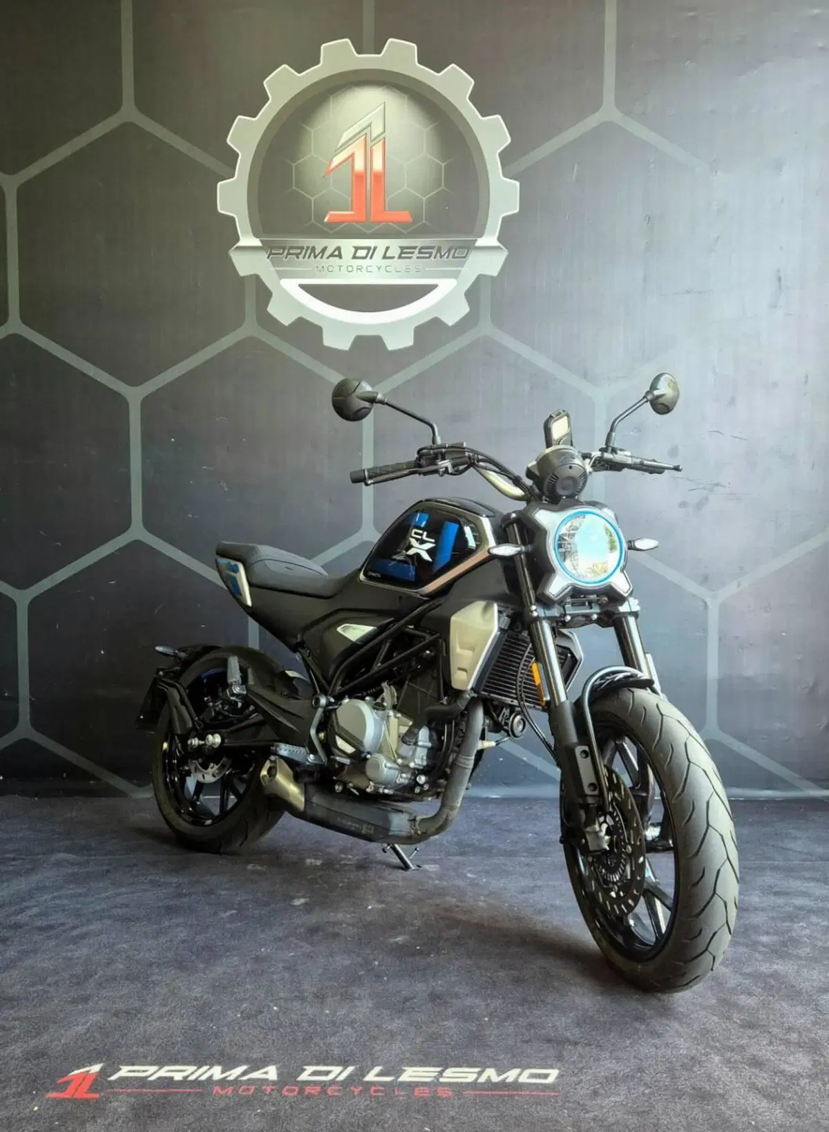 CFMOTO 300CL-X Heritage (2023 - 26) (4)